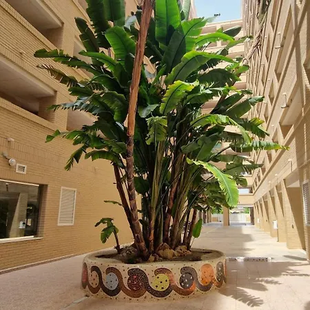 Calablanca 1 Nº 1012 Apartment Oropesa del Mar